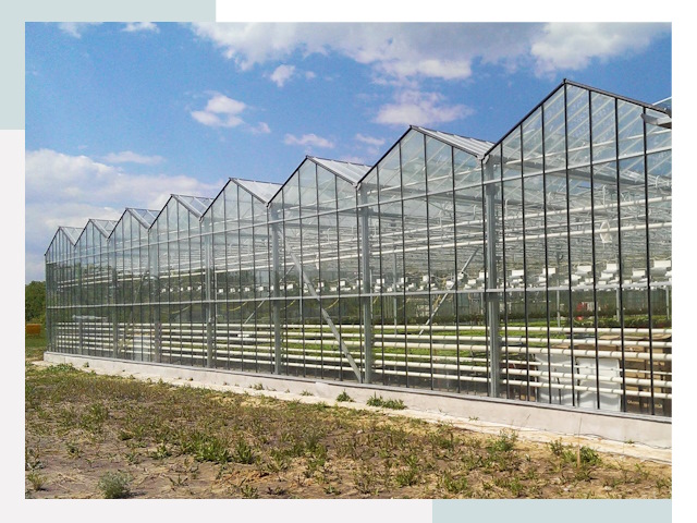 Строительство теплиц в Элиста от 621 руб. за м²