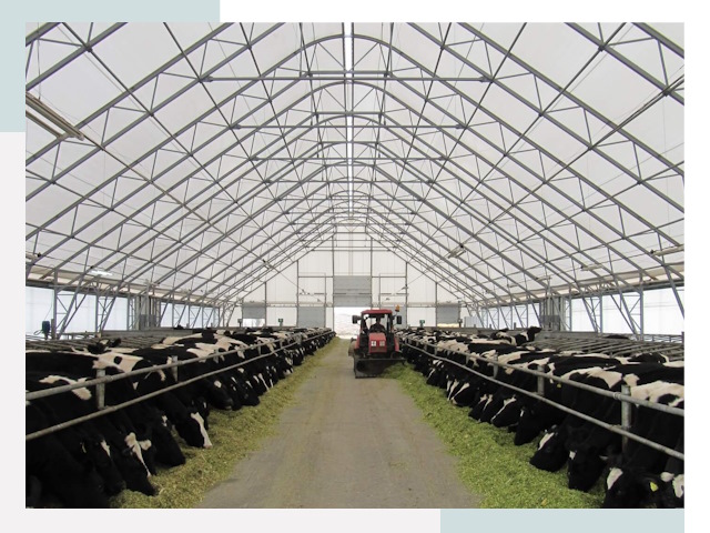 Тентовые коровники в Элисте от 621 руб. - Надежно и доступно